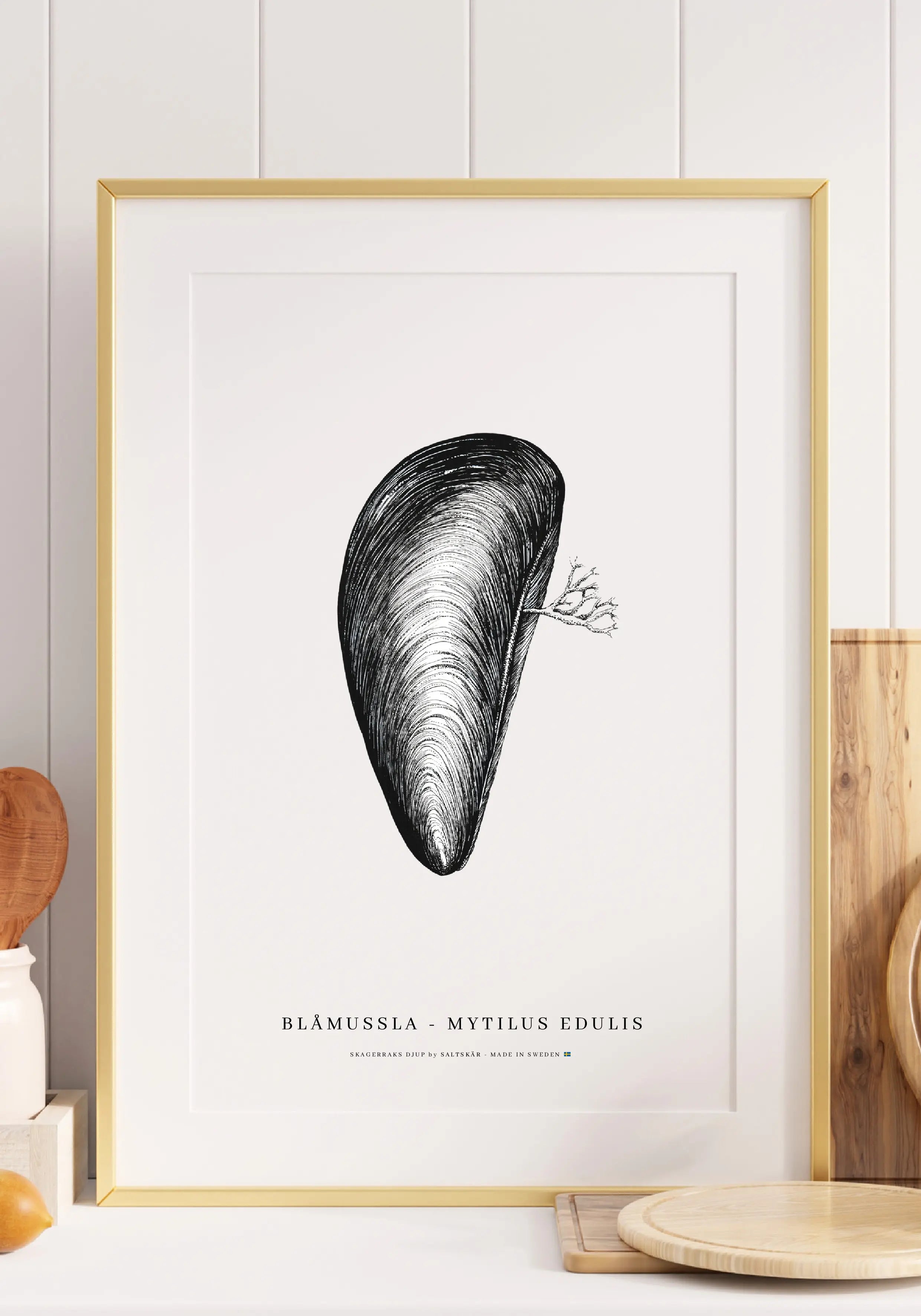 Blåmussla Poster