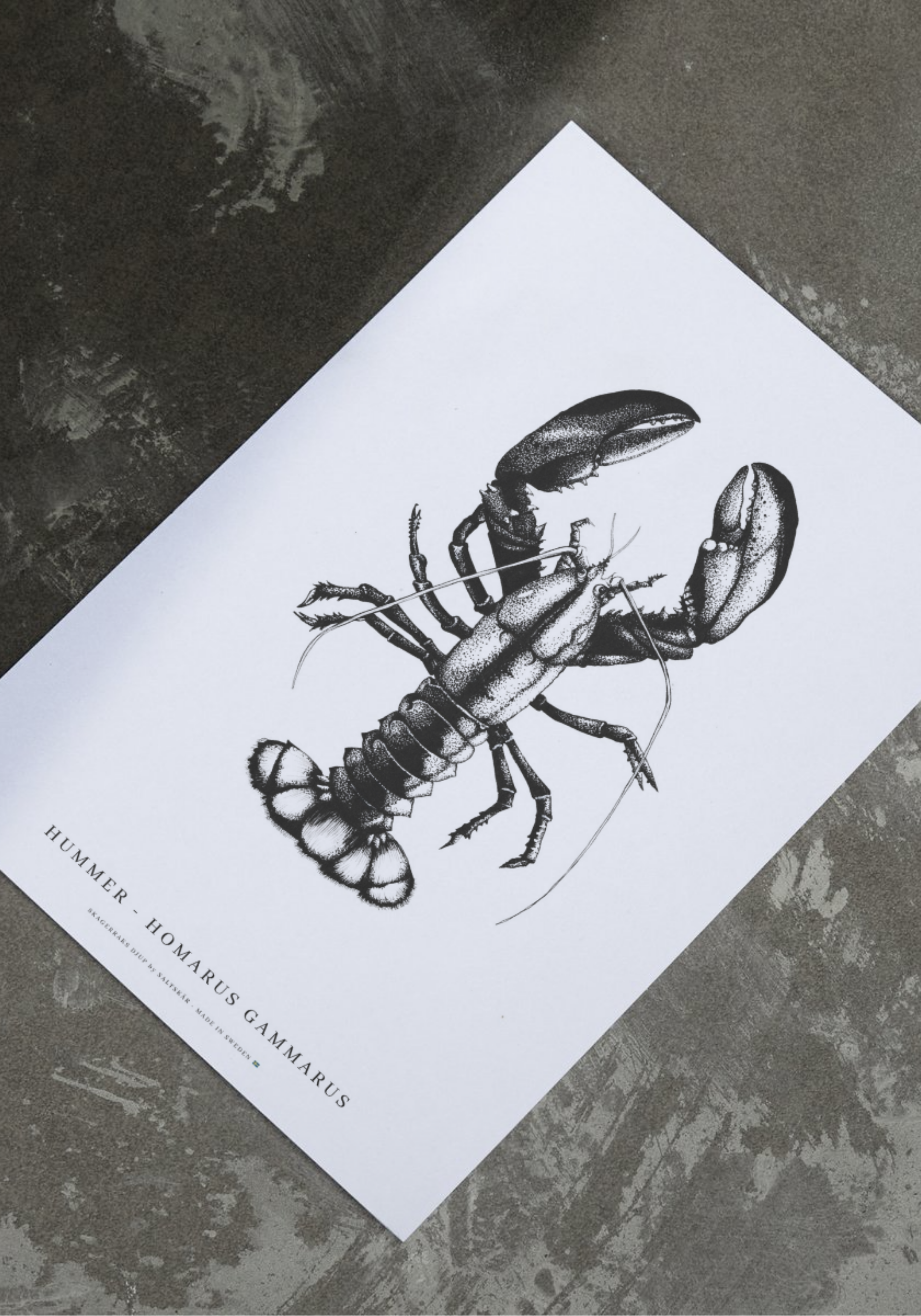 Vykort Fisk & Skaldjur 12-pack