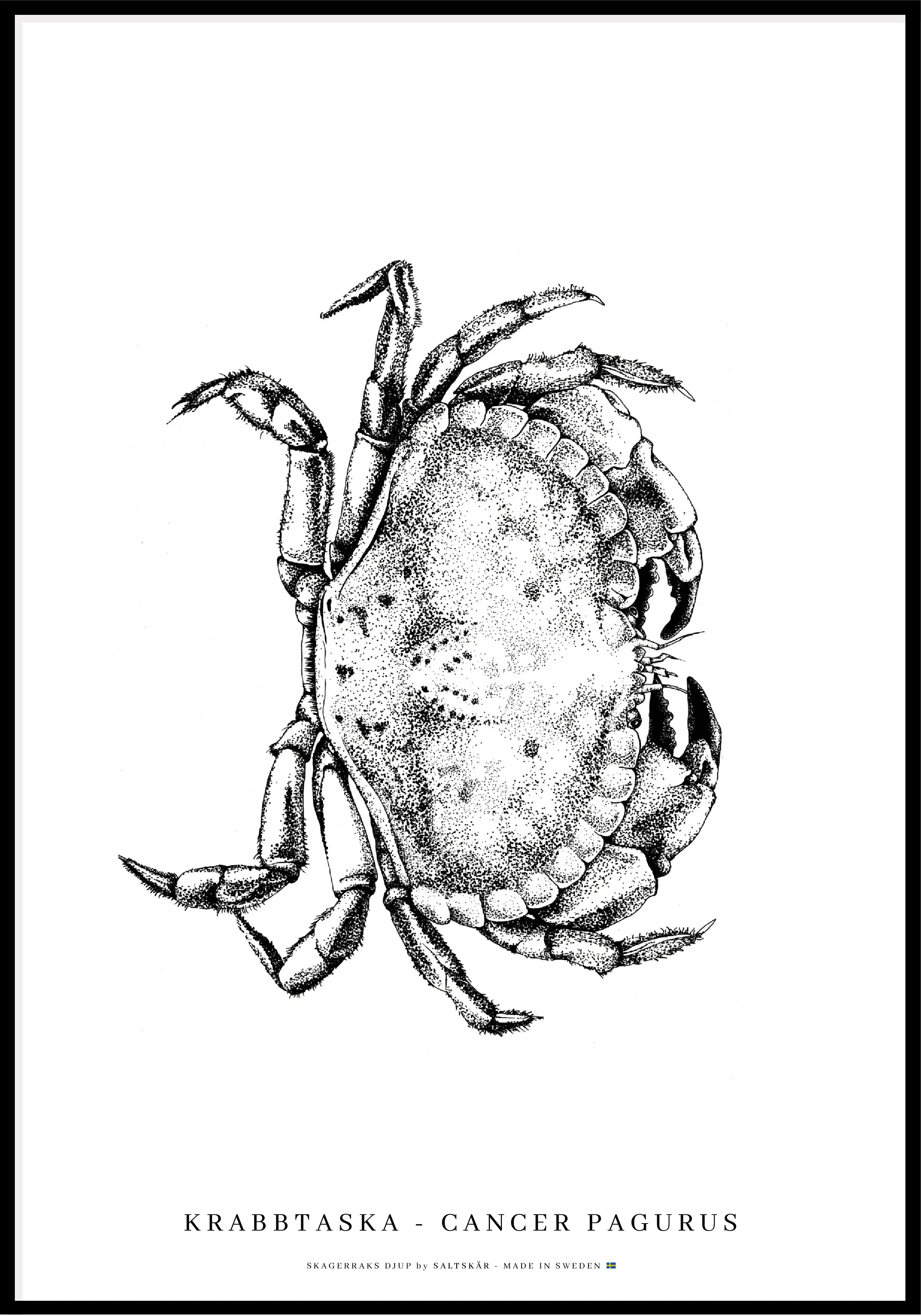 Krabba Poster