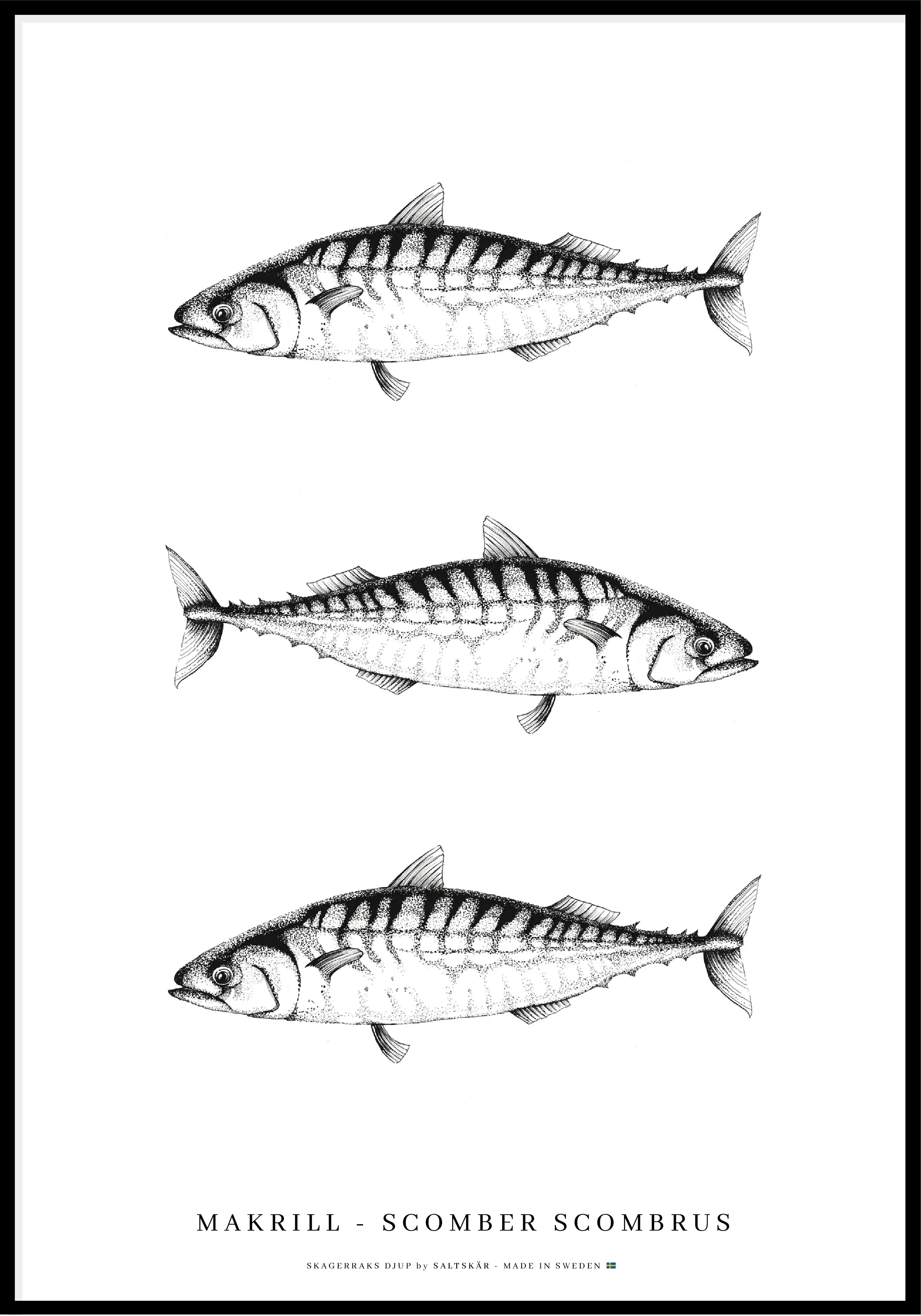 Makrill Poster