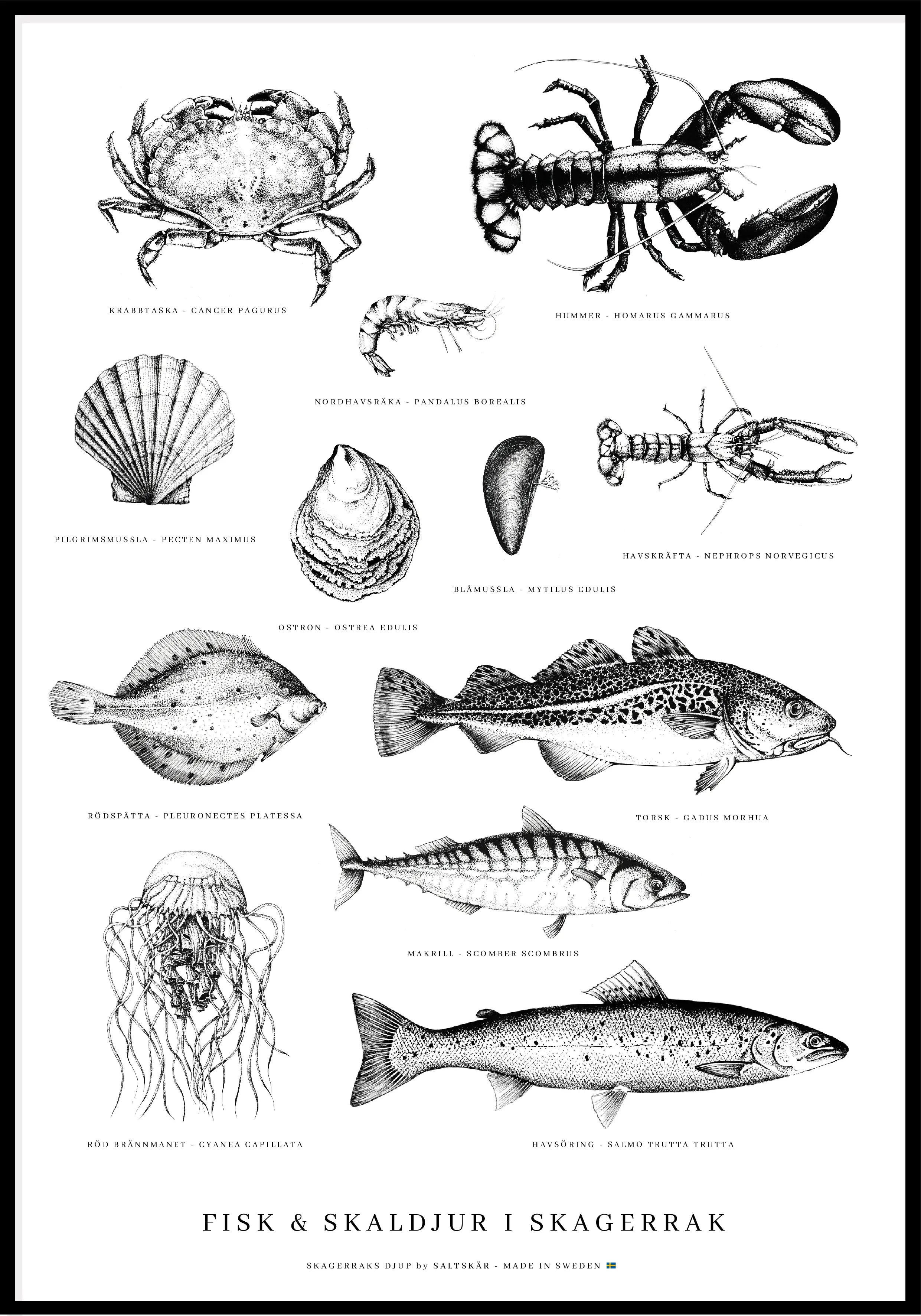 Fisk & Skaldjur Poster