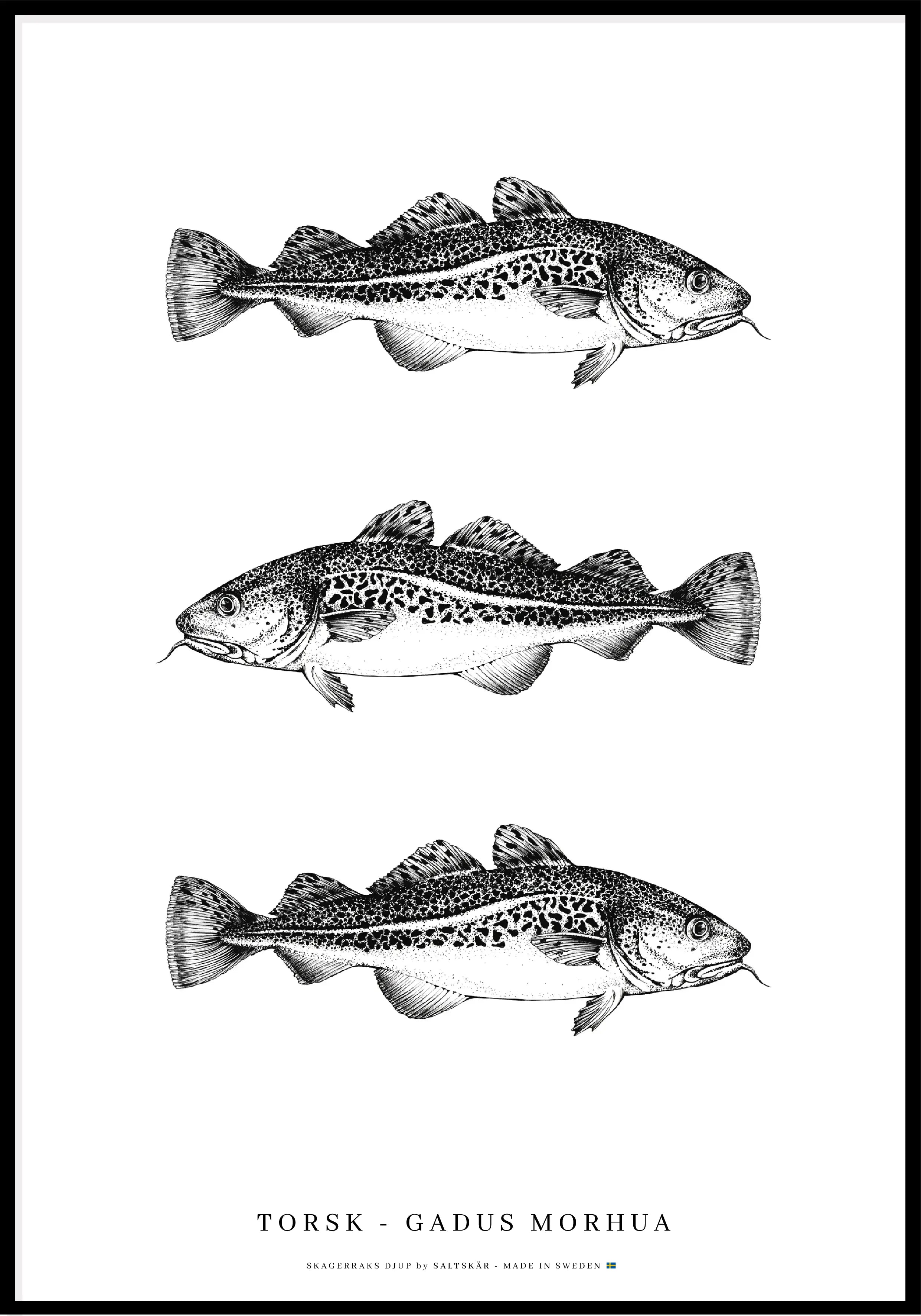 Torsk Poster